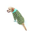 Pet 4 Leg Long Sleeve Pajamas Recovery Onesie For Anti Licking Wound Care Dogs Comfortable Anti-UV Onesie Jumpsuit Jammies