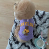 Winter Pet Hoodies Cotton Bear Letter Print Costume Dog Clothes Chihuahua Bichon Clothing Puppy Warm Dog Coat for Large Dogs New